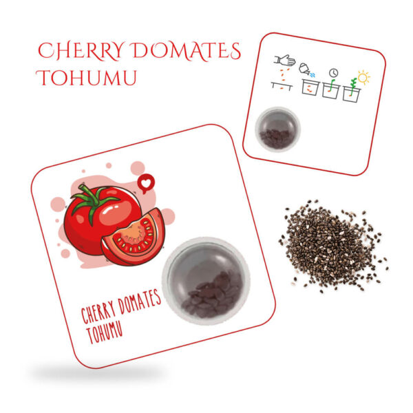 tohumlu kart cherry domates