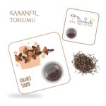 tohumlu kart karanfil